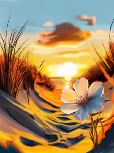 Sunset over a beach with soft sand, tall grass, and a single white flower in the foreground.