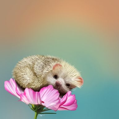 A hedgehog resting on a pink flower with a colorful background.